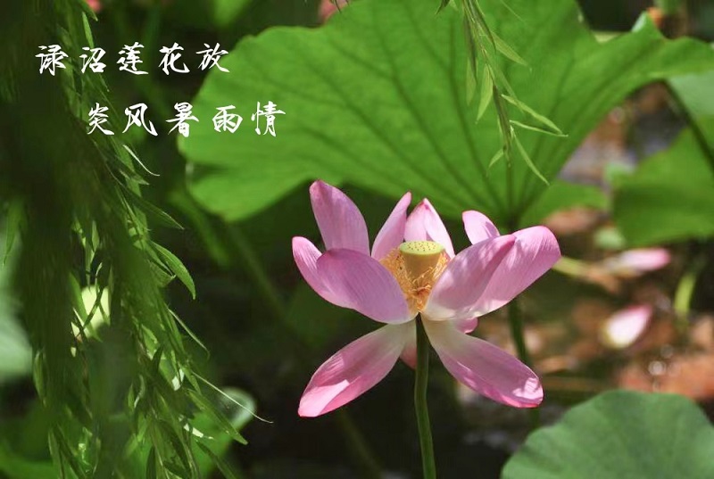 d5375fe9a03db91fd06ba88544d53bb.jpg
