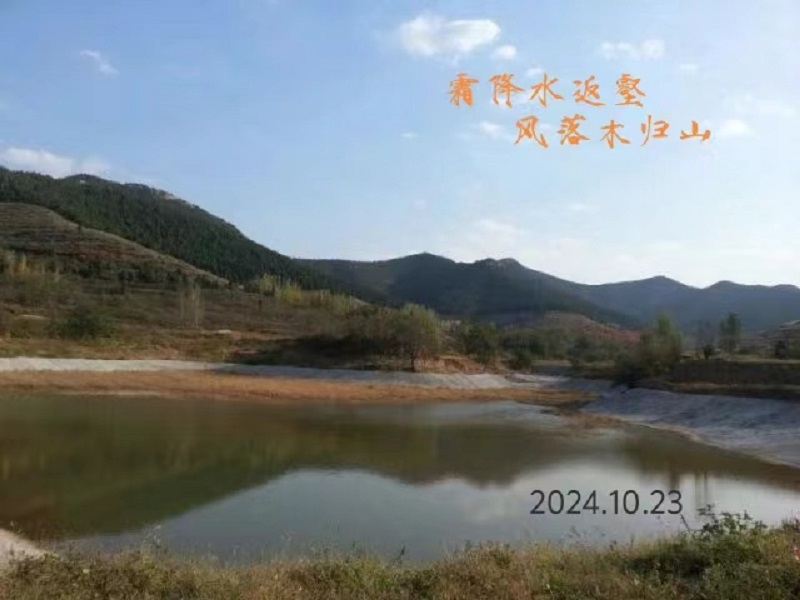 452d1a68f6f82c12ab2d1faffbd591a.jpg