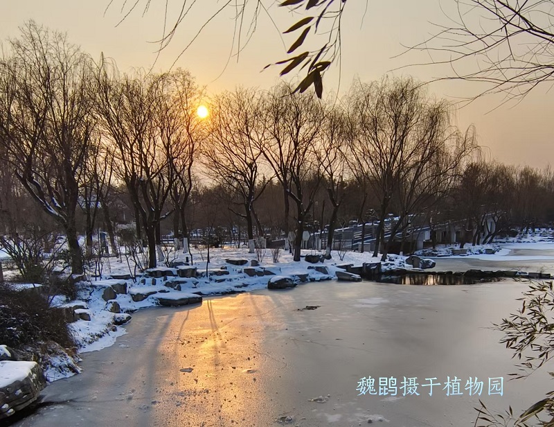 c44fc842259fb0291bd76b49fc0d625.jpg